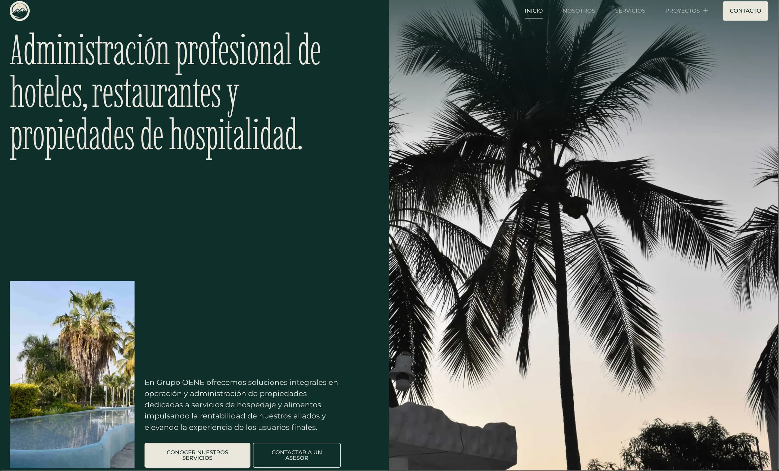 Cover for Grupo OENE